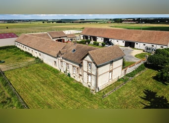 Ecurie de valorisation 