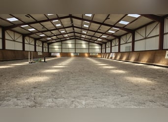 Ecurie de valorisation 