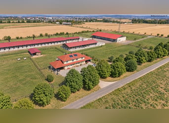 Eigendom in Wiesbaden op een afgelegen locatie – Landbouwbedrijf met ruime dubbele woning!