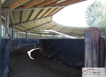 Elegant landgoed voor de hoogste eisen, gelegen aan de grens met Duitsland, Nederland