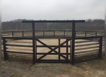 Equestrian Estate with Indoor Arena, 18 Horse Boxes, and Guest Cottages –