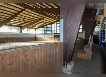 Exclusief manegecomplex in Sauerland | Landhuis, vakantiewoningen, rijhal met uitbreidingsmogelijkhe