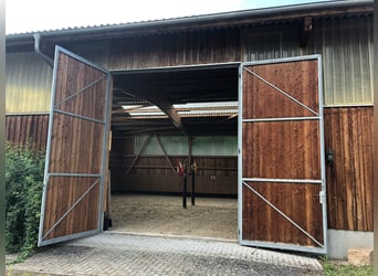 Exclusief manegecomplex met binnenbak en diverse woonmogelijkheden in Hessen