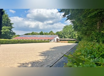 Exclusief manegecomplex met ruime woning en diverse gebruiksmogelijkheden in Bielefeld