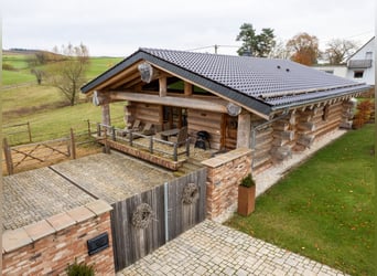 Exclusief paardenlandgoed midden in de natuur van de Eifel