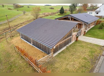 Exclusief paardenlandgoed midden in de natuur van de Eifel