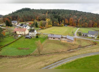 Exclusief paardenlandgoed midden in de natuur van de Eifel