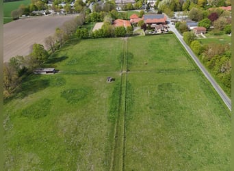 Exclusief paardenpension met stijlvol woonhuis, ruime weiden en een bijzondere rijbaan