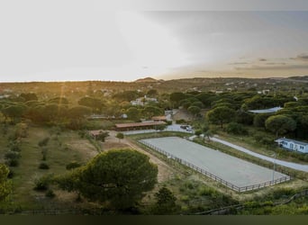 Exclusief privéwoning in de "Golden Triangle", Portugal