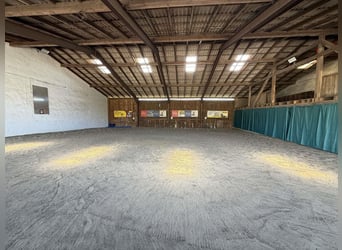 Exclusieve paardenboerderij met rijhal en meergezinswoning – rendement en levenskwaliteit verenigd