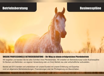 EXCLUSIEVE VERKOOP - Luxueus paardenpension met gevestigde paardenhouderij in Oberfranken