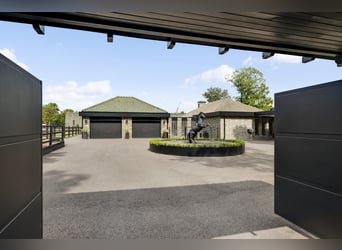 Exclusive Villa with Guesthouse and Equestrian Facilities near De Meinweg National Park