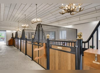 Exclusive Villa with Guesthouse and Equestrian Facilities near De Meinweg National Park