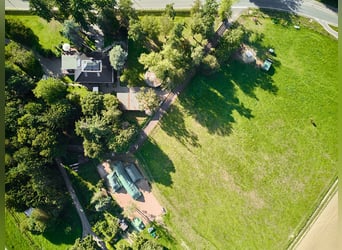 Exklusive Villa Nähe Wiesbaden – Wohnen auf höchstem Niveau mit Stallung & parkähnlichem Grundstück