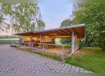 Exklusive Villa Nähe Wiesbaden – Wohnen auf höchstem Niveau mit Stallung & parkähnlichem Grundstück