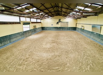 Exklusives Anwesen mit hochwertiger Reitanlage in traumhafter Lage