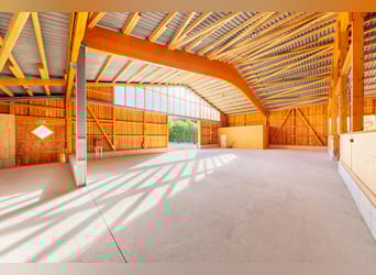 Exklusives Reitsportanwesen nahe Hamburg - 43 Hektar & neue Reithalle!