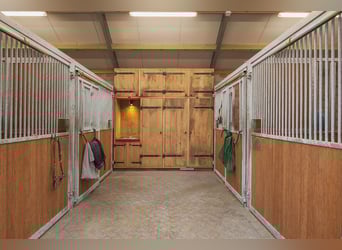 Exquisite private equestrian estate with Indoor arena, stables, and luxurious residence