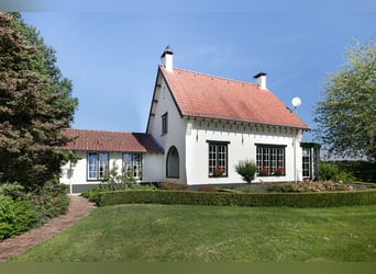 Exquisite private equestrian estate with Indoor arena, stables, and luxurious residence