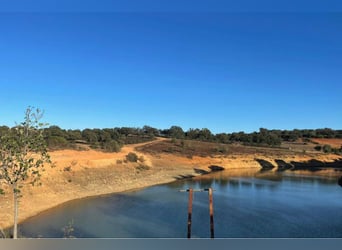 Finca De Ensueño de meer dan 90 ha nabij Sevilla