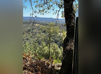 Finca in Ensueño in der Gredos-Region