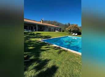 Finca in Ensueño in der Gredos-Region