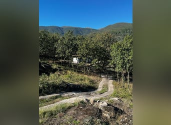 Finca in Ensueño in der Gredos-Region