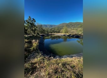 Finca in Ensueño in der Gredos-Region