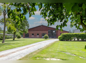 Gemoderniseerde boerderij in Belum-Kehdingbruch met weiland en optioneel 28 hectare akkerland