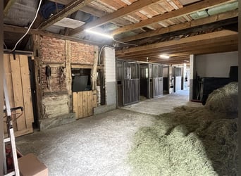 Gemoderniseerde boerderij met paardenhouderij en zelfstandige woonruimte