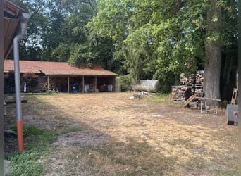 Gemoderniseerde boerderij met paardenhouderij en zelfstandige woonruimte
