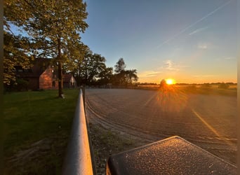 Gemoderniseerde boerderij met paardenhouderij en zelfstandige woonruimte