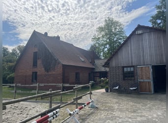Gemoderniseerde boerderij met paardenhouderij en zelfstandige woonruimte