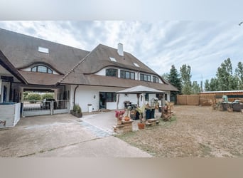 Groot paardenpension met een uitzonderlijk woonhuis, vijf wooneenheden, rijhal en veelzijdig in gebr