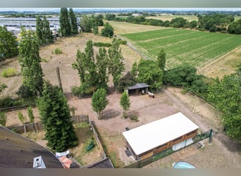 Groot paardenpension met een uitzonderlijk woonhuis, vijf wooneenheden, rijhal en veelzijdig in gebr