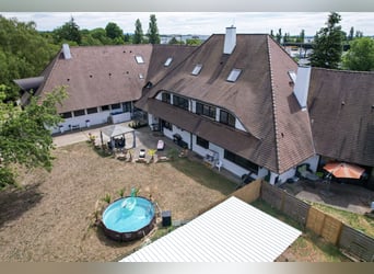 Groot paardenpension met een uitzonderlijk woonhuis, vijf wooneenheden, rijhal en veelzijdig in gebr
