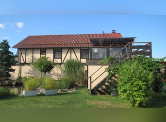 Het geluk heeft een thuis: goed onderhouden woonhuis + vakantiewoning aan de rand van Plauen / Vogtl