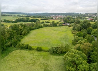 Historisch molenlandgoed in afgelegen locatie met paardenhouderij, waterkracht en aantrekkelijke ink