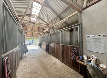 Historische Reitanlage im Elsass – Ihr exklusives Paradies für Pferdeliebhaber und Investoren