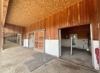 Historische Reitanlage im Elsass – Ihr exklusives Paradies für Pferdeliebhaber und Investoren