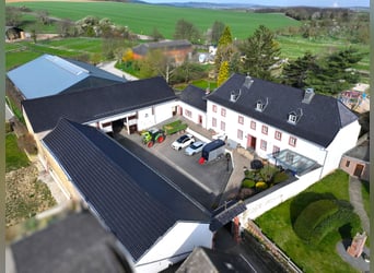 Historische vierkantboerderij met manege