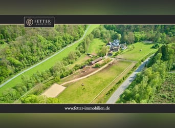 Historisches Mühlenanwesen mit Hotelbetrieb, Pferdepension und Entwicklungspotenzial im Hochtaunus!