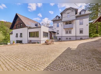 Historisches Mühlenanwesen mit Hotelbetrieb, Pferdepension und Entwicklungspotenzial im Hochtaunus!