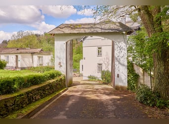 Historisches Mühlenanwesen mit Hotelbetrieb, Pferdepension und Entwicklungspotenzial im Hochtaunus!