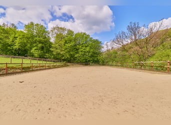 Historisches Mühlenanwesen mit Hotelbetrieb, Pferdepension und Entwicklungspotenzial im Hochtaunus!