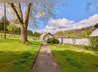 Historisches Mühlenanwesen mit Hotelbetrieb, Pferdepension und Entwicklungspotenzial im Hochtaunus!