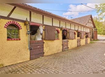 Historisches Mühlenanwesen mit Hotelbetrieb, Pferdepension und Entwicklungspotenzial im Hochtaunus!