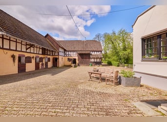 Historisches Mühlenanwesen mit Hotelbetrieb, Pferdepension und Entwicklungspotenzial im Hochtaunus!