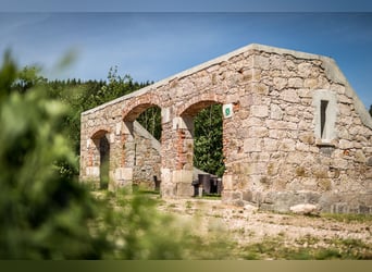 Historisches Villenanwesen im Erzgebirge – Absolute Alleinlage in traumhafter Natur!