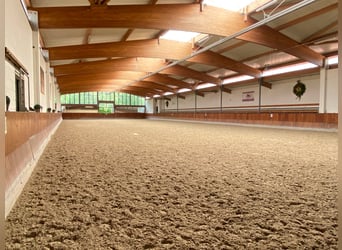 Hochwertige Reitanlage in Aachen